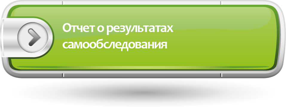 Отчет о результатах самообследования